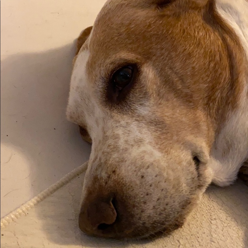 Meet your Posher, Bradley